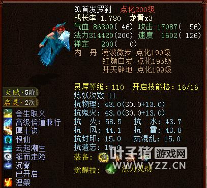 大话西游2新区克金队,大话西游2大力投资