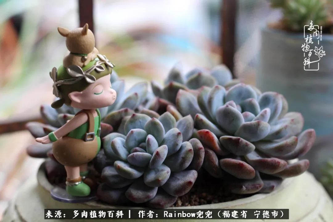 岁月无波澜余生不悲欢是啥意思,愿你岁月无波澜敬我余生无悲欢