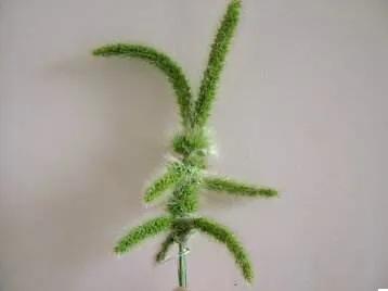 狗尾巴草怎么编兔子教程,狗尾巴草编小东西简单教程