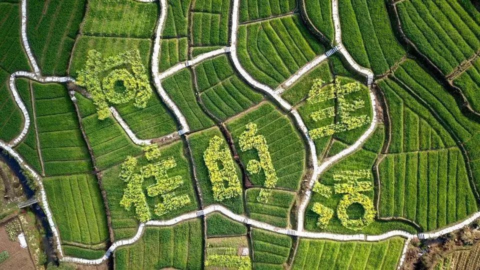 钱塘江大潮图画,钱塘江大潮的壮观景象手绘