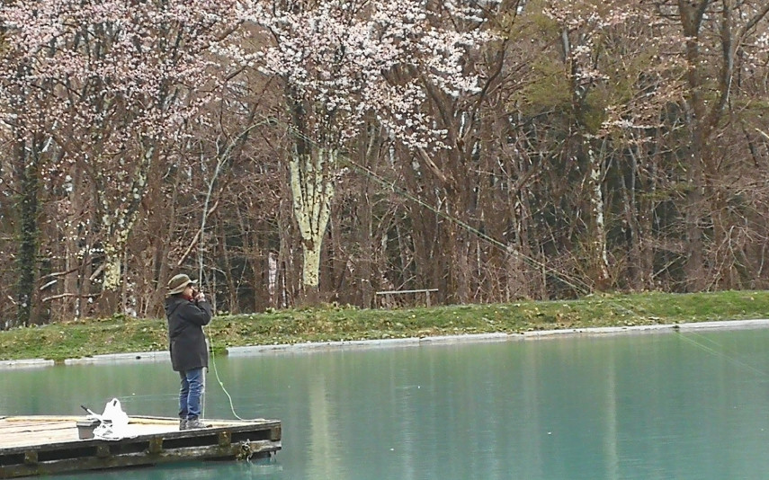 15天8000里,我们刚去名古屋和日本人抢了个五一假期