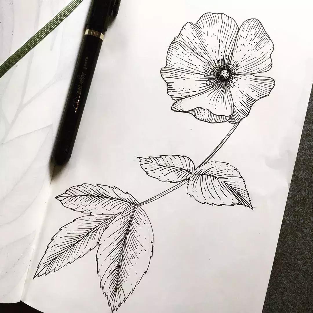 这一波手绘太给力了,绝对让你练完不厉害都难