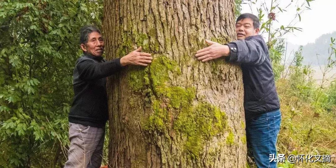 千年古苗寨老家寨全景,贵州千户苗寨农户家