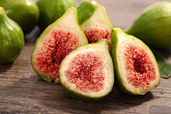 无花果被称为生命之果,生命之树盆栽