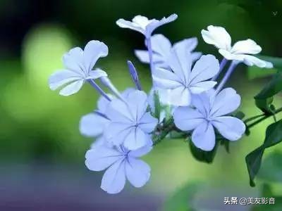 【美友博览】作家王蒙自传《半生多事·精彩与荒谬》