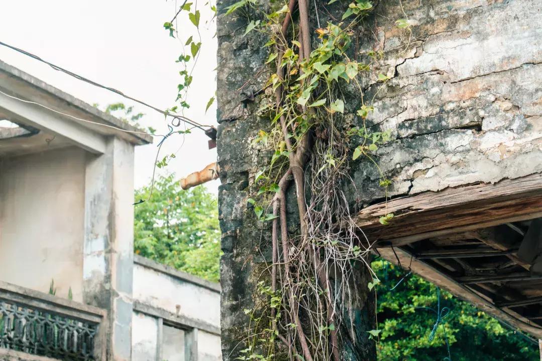 观澜算深圳偏僻的地方吗,观澜有没有价值