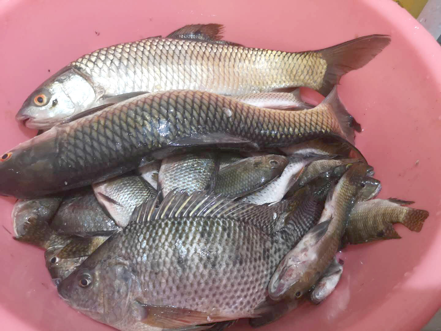 杞荤獫鎵撴硶,鎬庝箞鏍疯杞绘瘮閲嶇殑绐濇枡鍙樺ぇ姣旈噸