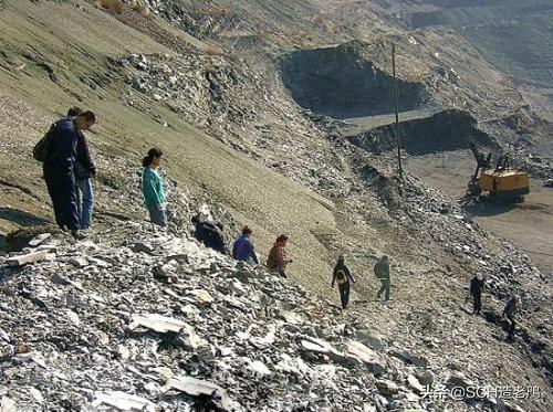 关于琥珀形成的资料,琥珀的种类及介绍