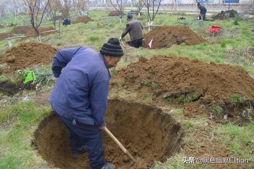 绿化技巧视频,绿化施工安全措施