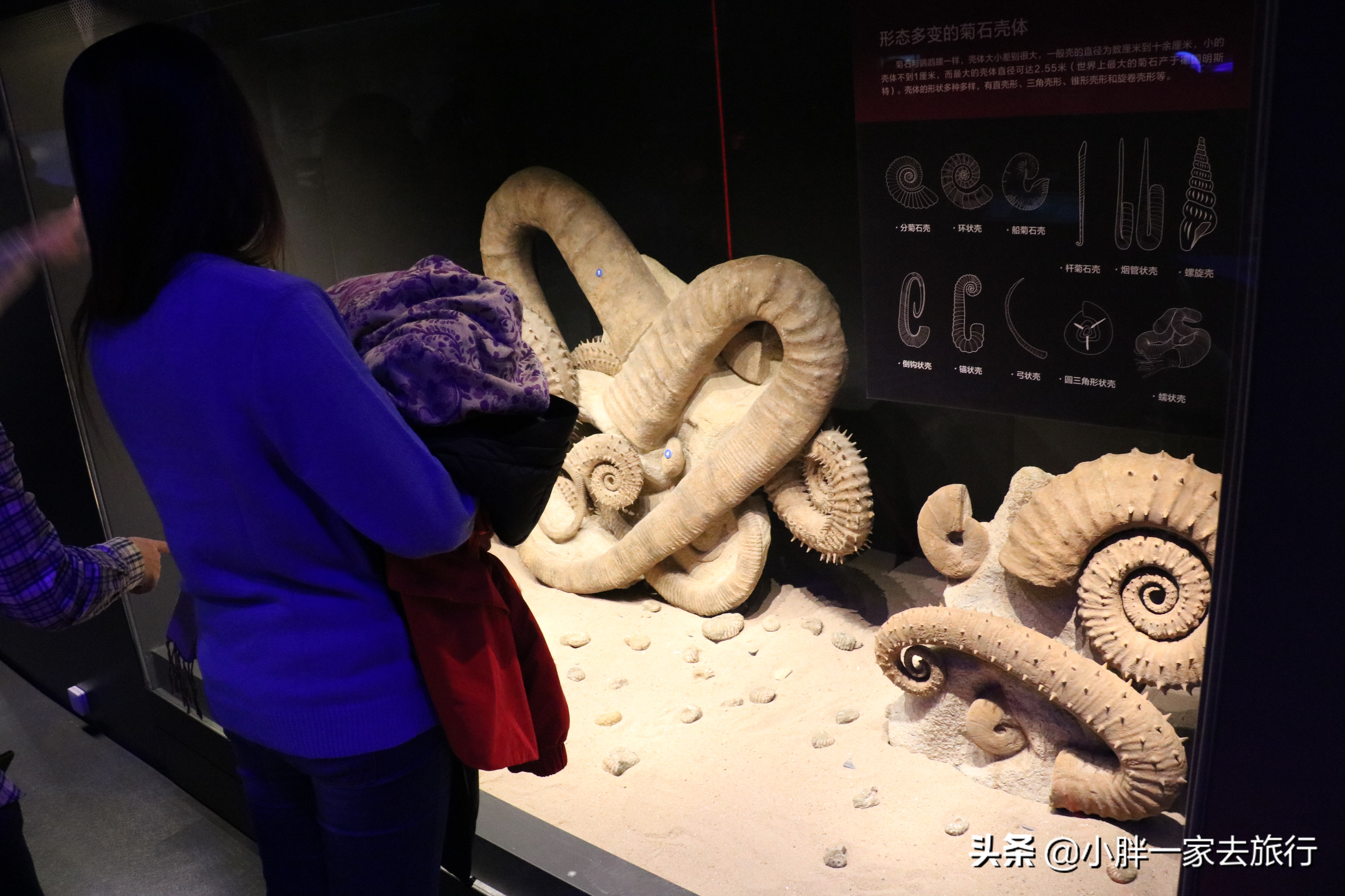 最大的北京海洋博物馆,海上故宫国家海洋博物馆