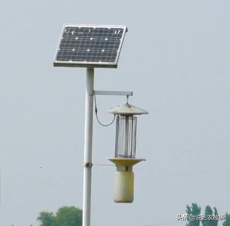 稻蛙鳅套养模式,稻鳅共生养殖稻田建设