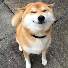 最新重装系统win10步骤和详细教程,最简单重装系统win10教程