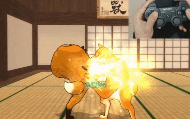 *兽禽**们搞起比利来有多“骚”？