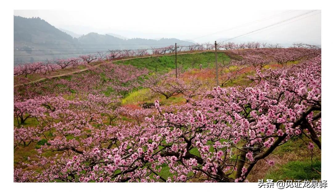 美成仙境,美成了仙境