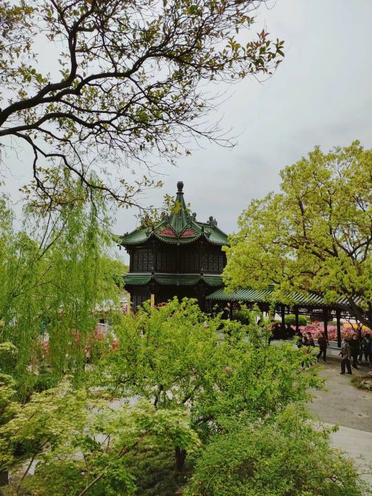 春游扬州瘦西湖,雨天游扬州瘦西湖