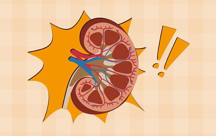 补肾益精膏能治哪些病症,补肾健脾固精养生膏