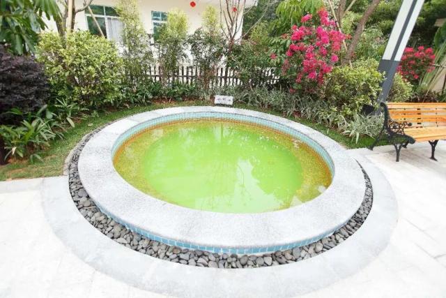 从化财富温泉度假酒店拍照,从化温泉财富酒店