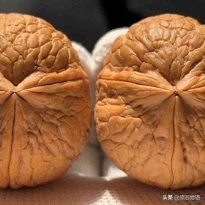 盛世收藏乱世金,文玩核桃与金丝楠高位崩盘。