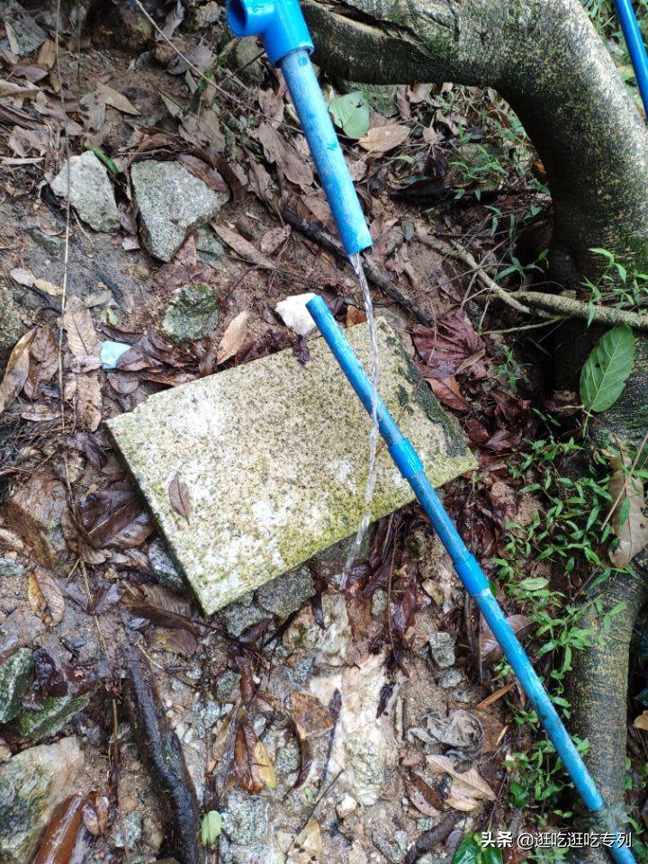 广州火炉山从哪个门口进去最好玩,广州火炉山值得去吗