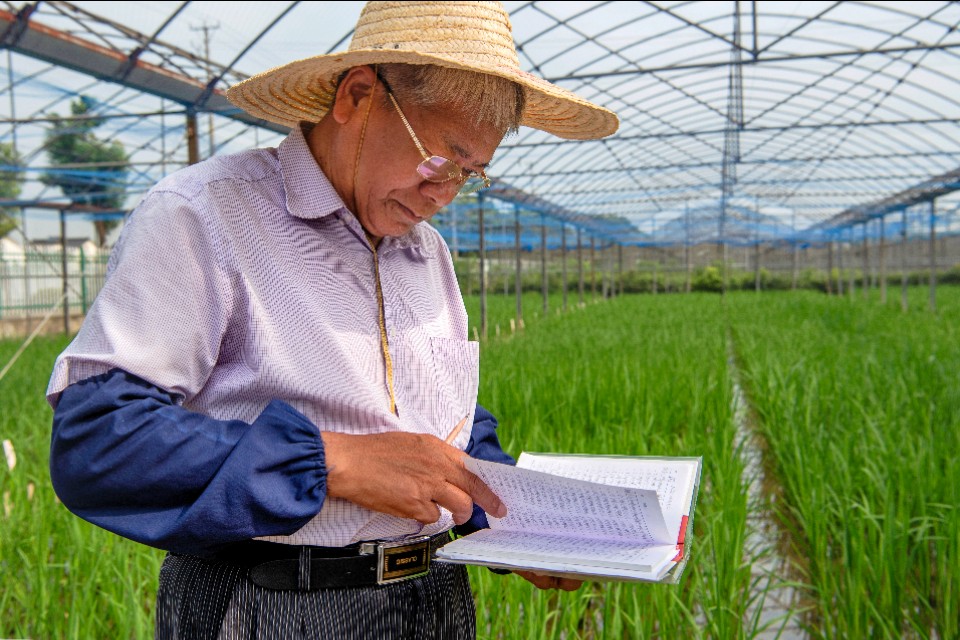 新时代最美常熟人系列报道之二：水稻育种专家端木银熙