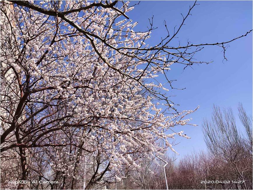 现在最值得买的vivo5g手机,值得购买的vivo5g新款手机