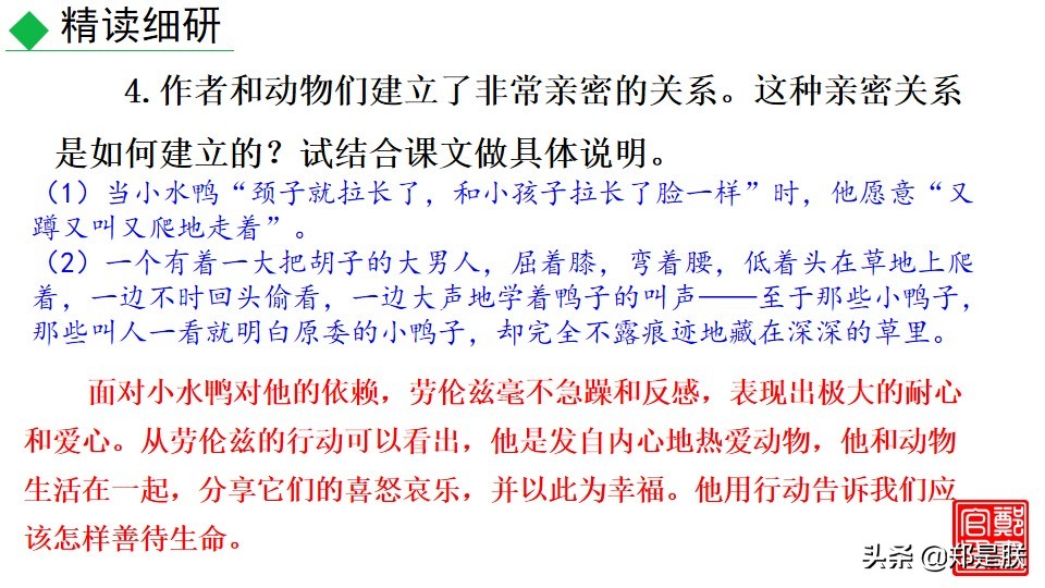 七上人教版第十七课动物笑谈课件,七上语文动物笑谈