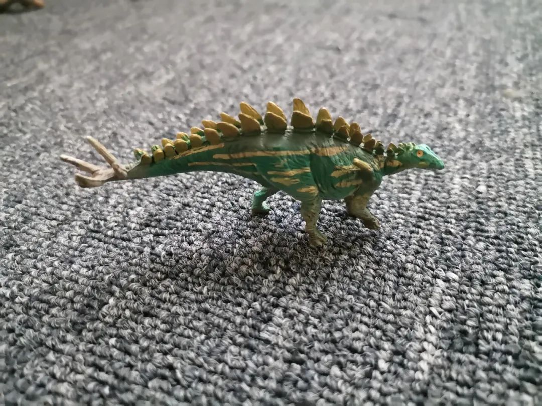 适合孩子看的恐龙科普书,适合5岁孩子看的恐龙科普书