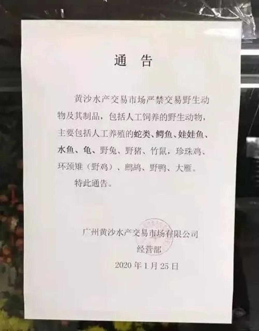 拒绝野味的动物有哪几种,哪些动物属于野味