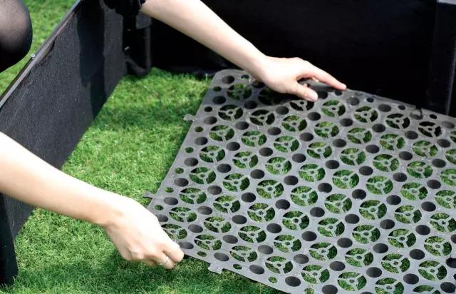 教你打造一米菜园,自家菜园教程新手入门