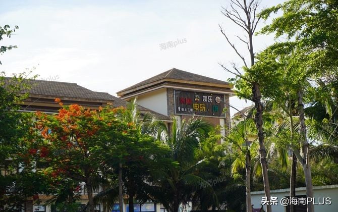 造梦海棠旺铺新闻,造梦海棠旺铺出租