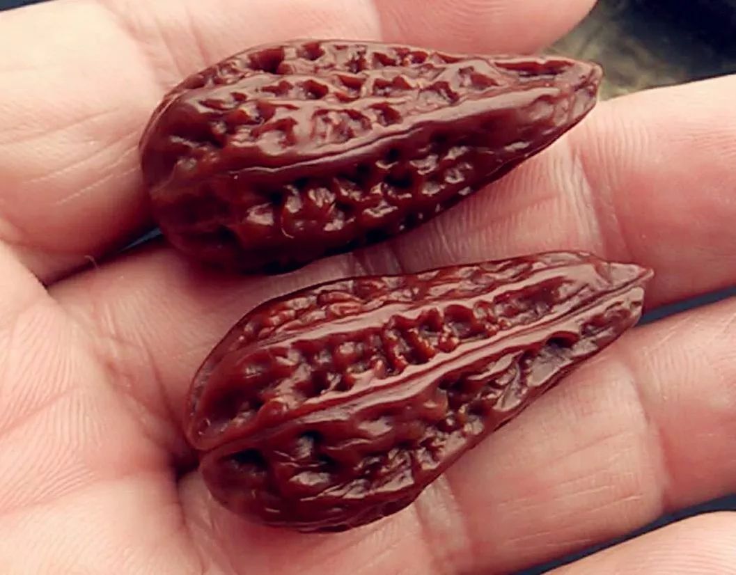 什么品种的核桃玉化包浆更快,文玩核桃盘多久才会玉化