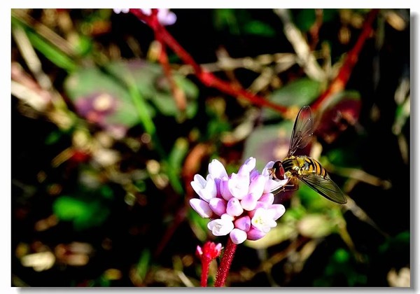 余姚四明湖开元山庄,余姚四明湖开元山庄自驾游