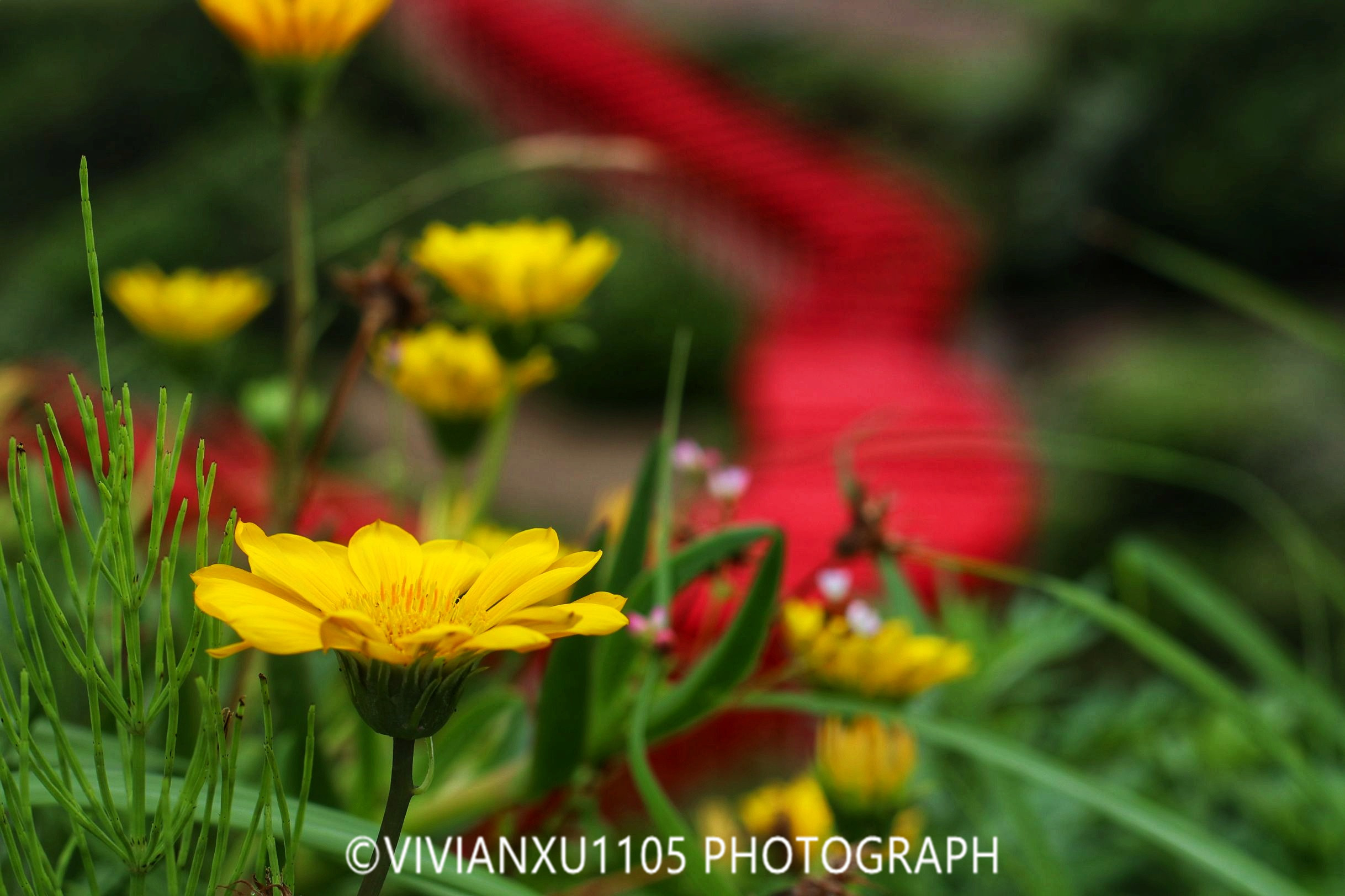 日本本州岛山阴山阳地区纯玩行程美图合集