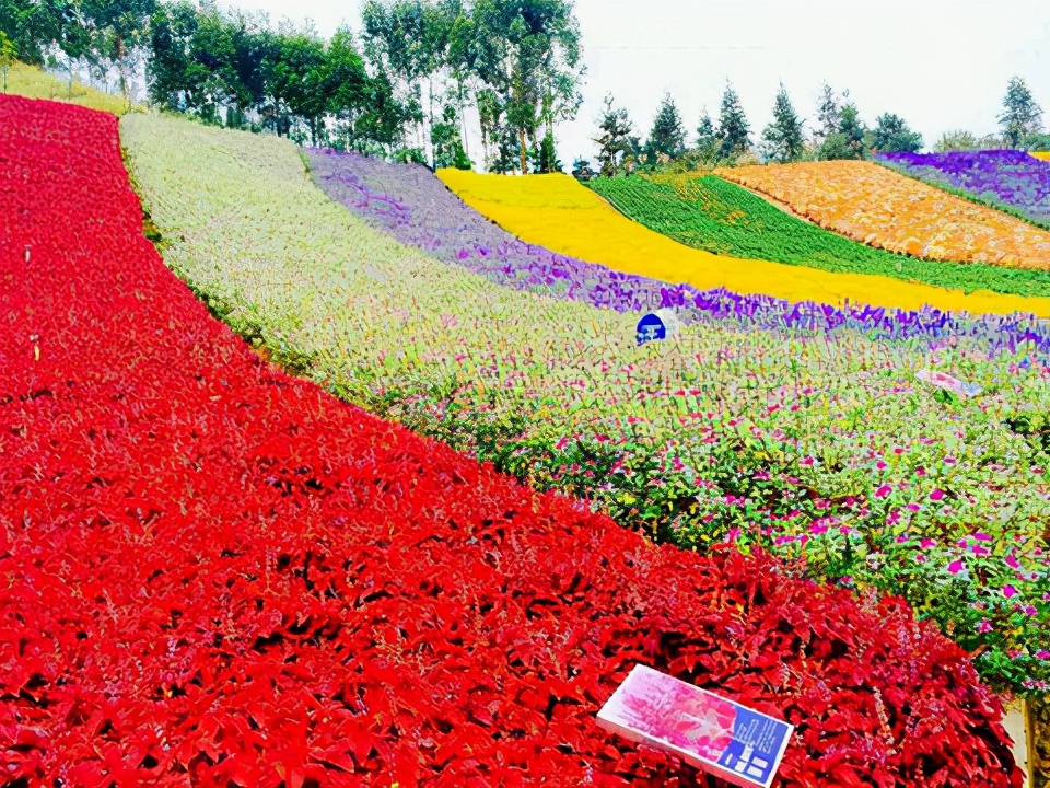 漳州市内有什么好玩的旅游景点,漳州有哪些好玩的旅游景点