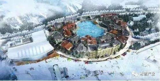 怎么让您的茶产品踏上2022冬奥会的国际舞台