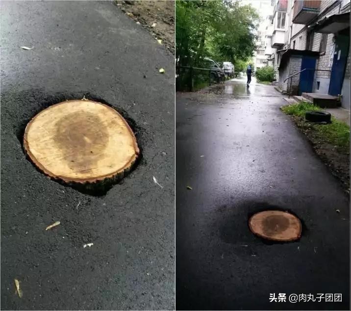 12张完美的照片,一组完美的强迫症图片