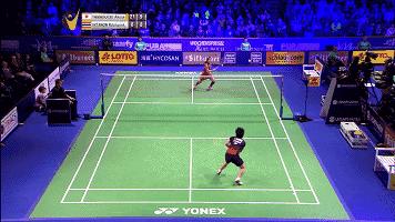 金秋诗画（学羽精华33.发力技巧）