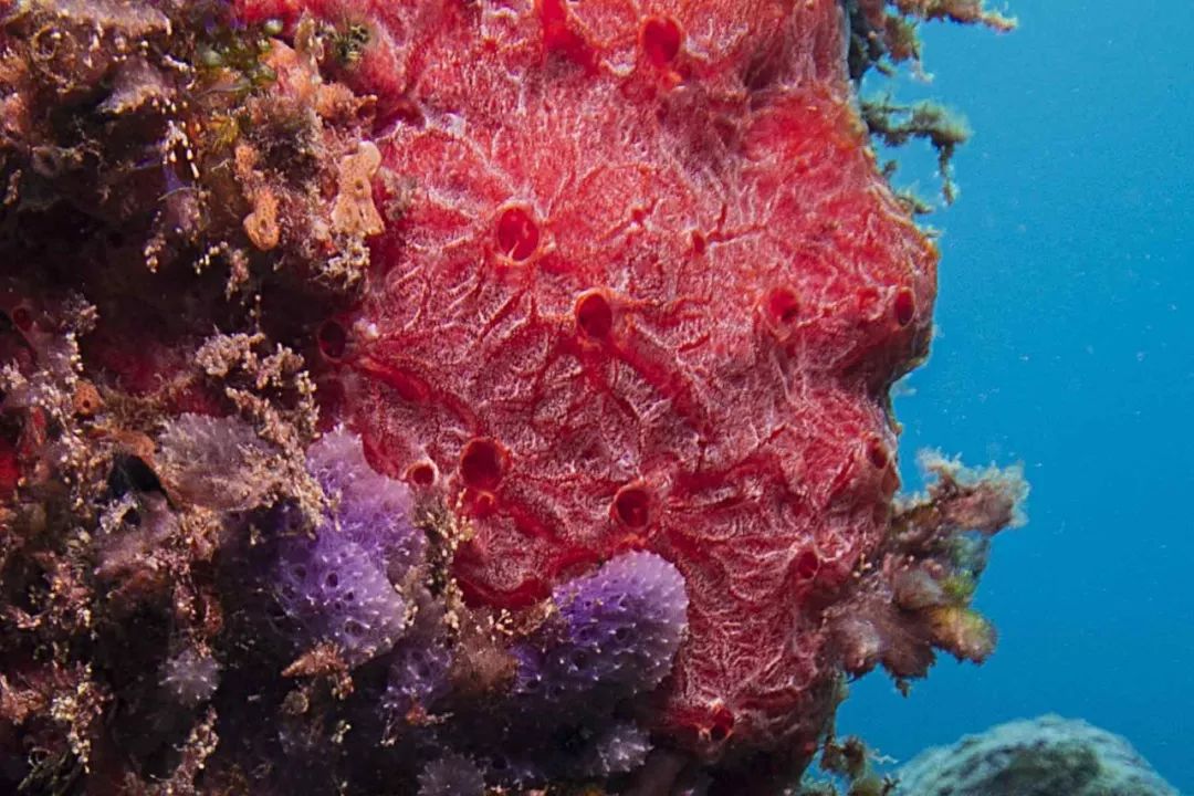 趣味博物馆你最爱哪一个,世界著名博物馆纵览图高清