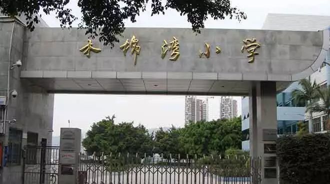 龙岗区私立小学排名前十,龙岗区小学质量排名一览表