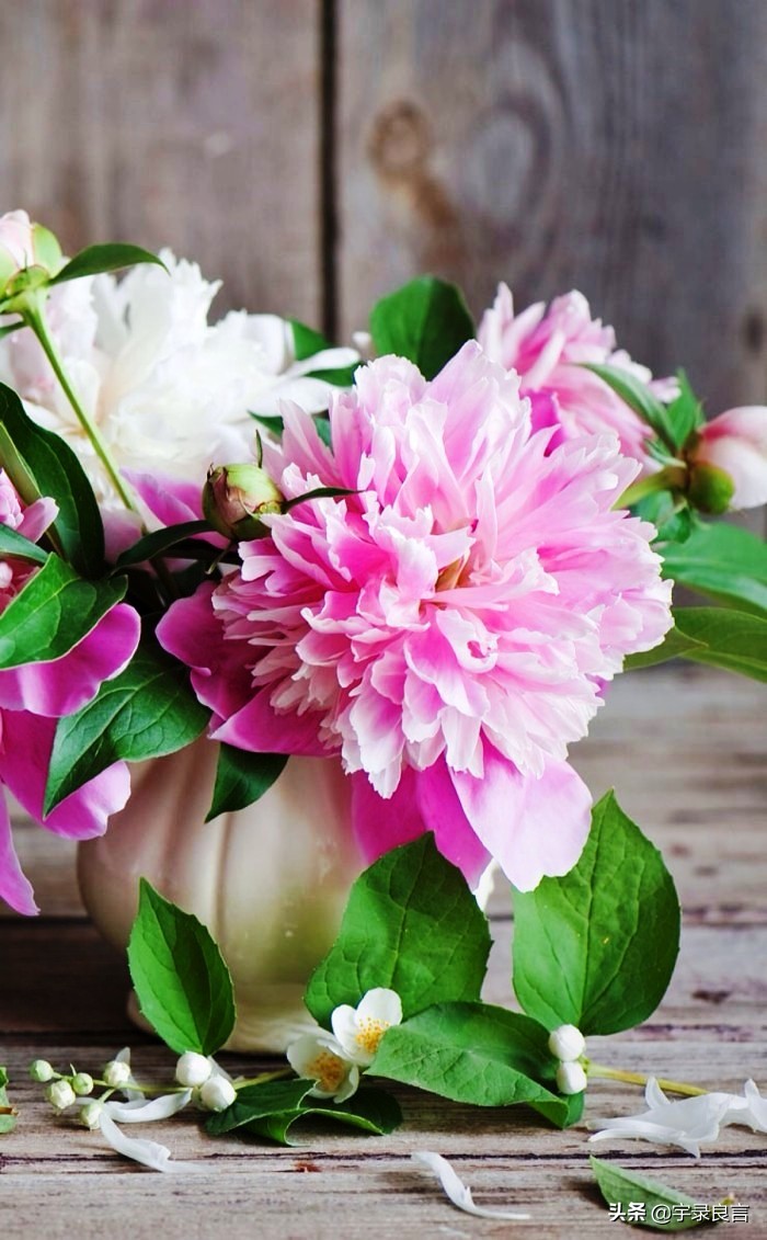 霸气的句子超拽潇洒不带脏字,抖音赞美点赞的霸气句子