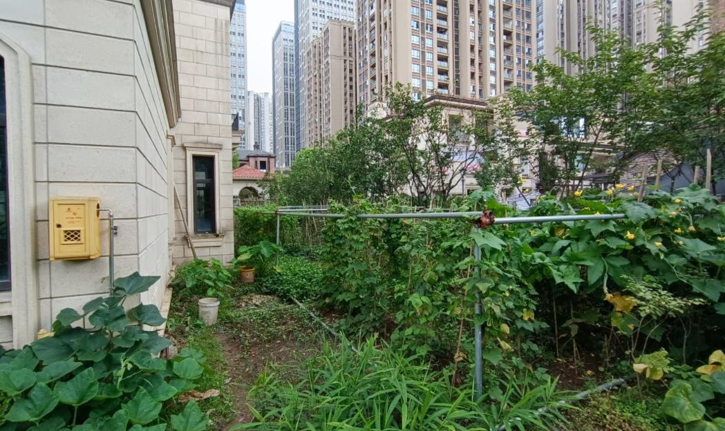 谈谈重庆照母山的房子,重庆照母山最好房评