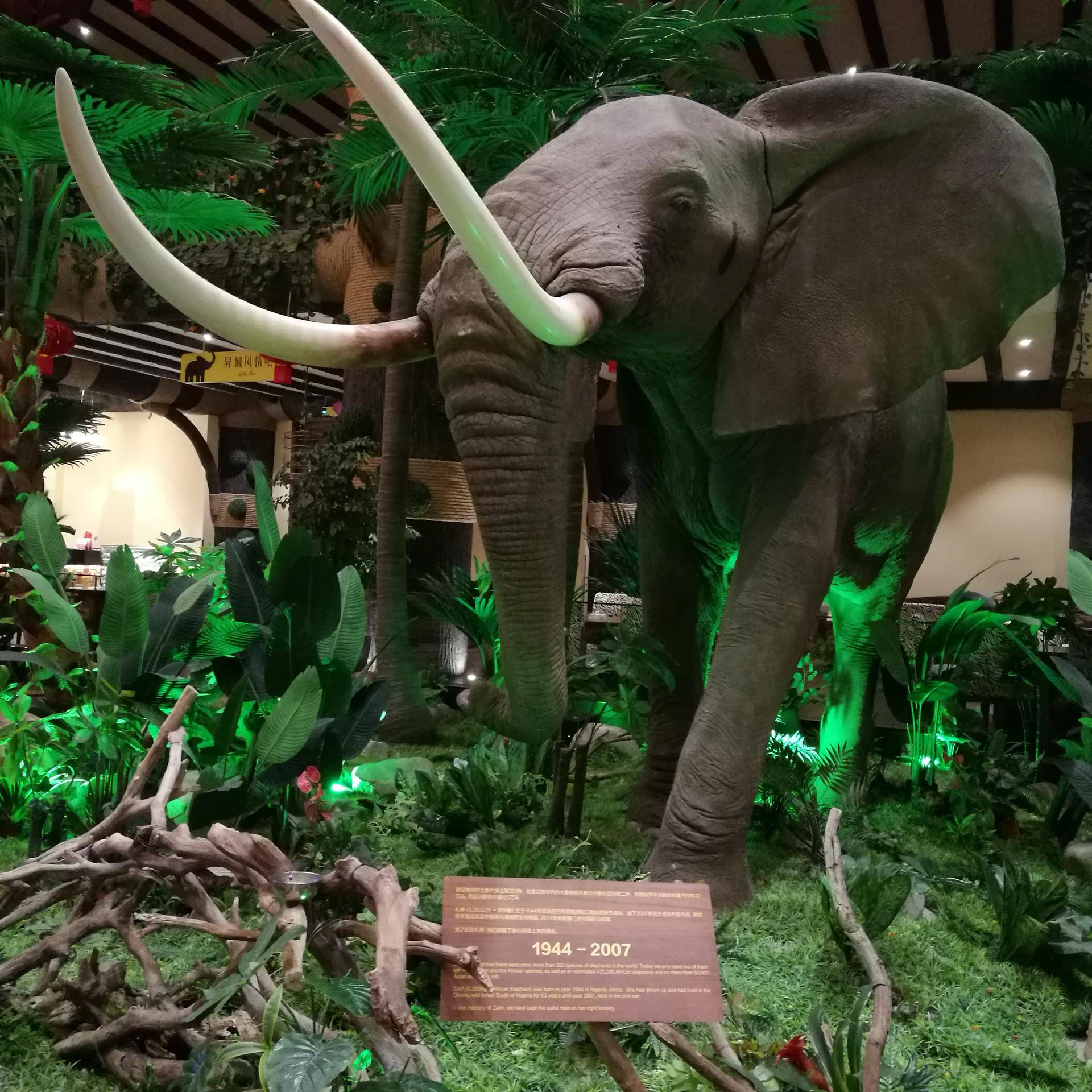 厦门灵玲动物王国游玩时间,五一去哪个动物园玩亲子一日游