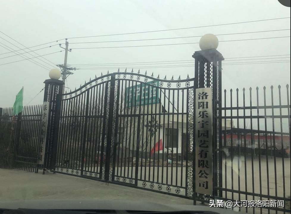 17.8万元享200平方米庭院？孟津一农庄林业用地上“种”出小木屋