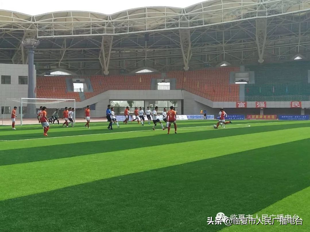 2021河州牡丹文化月系列活动,2019河州牡丹文化节