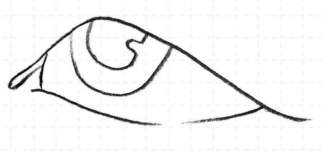 最简单的眼睛画法教程,零基础画画眼睛教程图片