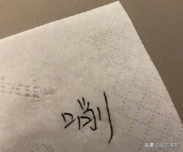 郑敏去岳云鹏家吃苹果,岳云鹏郑敏对岳云鹏的作用