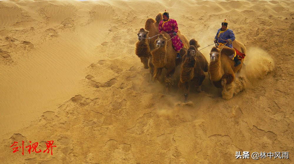 通辽奈曼沙漠,奈曼旗沙漠风景视频