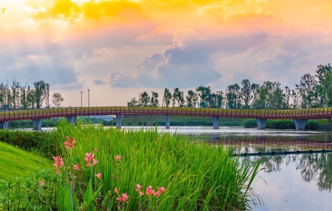 成都哪里的绿道最好,成都绿道最好的地方