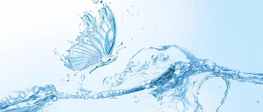 干细胞移植治红斑狼疮多少钱,造血干细胞移植治疗红斑狼疮