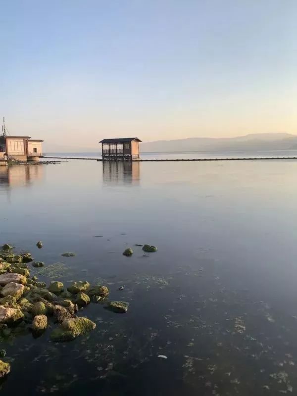 iphone手机拍照操作指南,iphone实况拍照有什么用